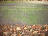 image of grave number 177615